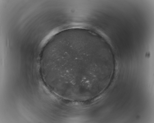 X0000112361411200908201452