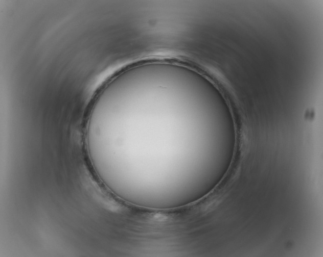 X0000112361412200908201452