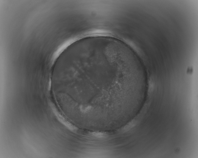 X0000112361413200908201452