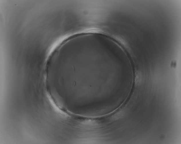 X0000112361414200908201452