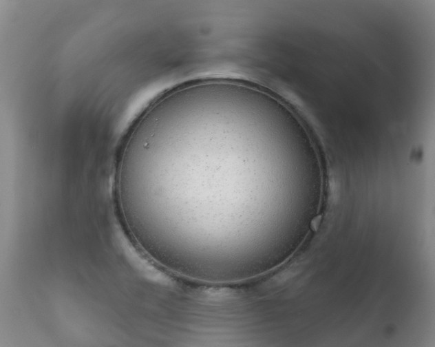 X0000112361416200908201452