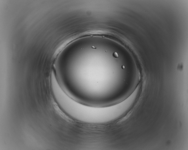 X0000112361417200908201452