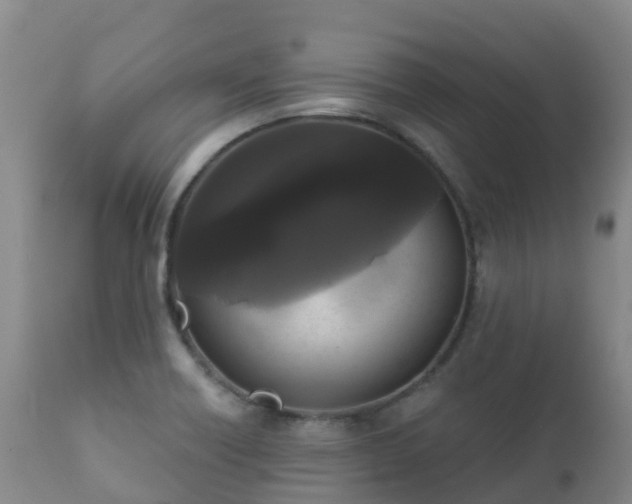 X0000112361418200908201452