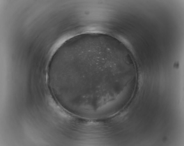 X0000112361419200908201452