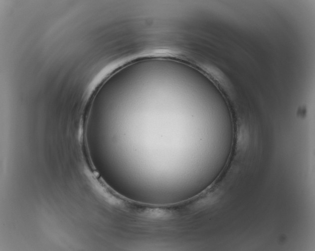 X0000112361420200908201452