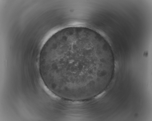 X0000112361421200908201452