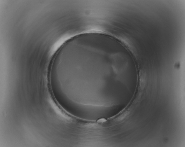 X0000112361422200908201453