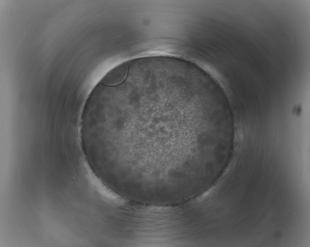 X0000112361423200908201453