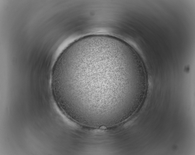 X0000112361424200908201453