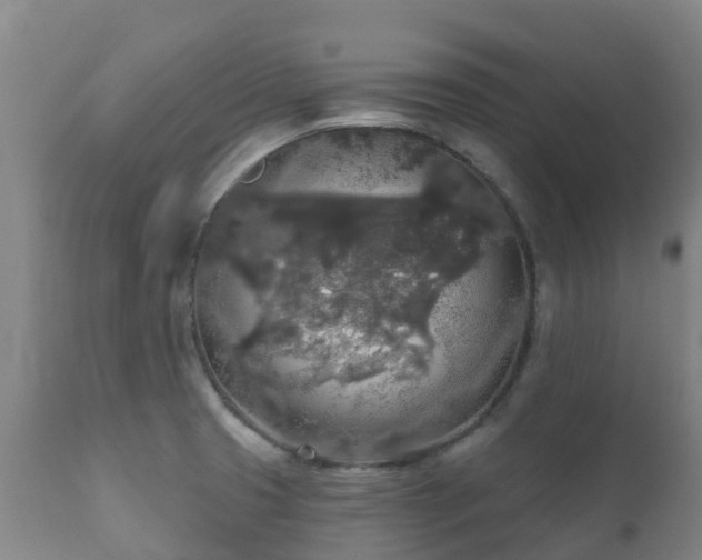 X0000112361425200908201453