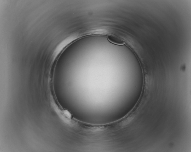 X0000112361426200908201453