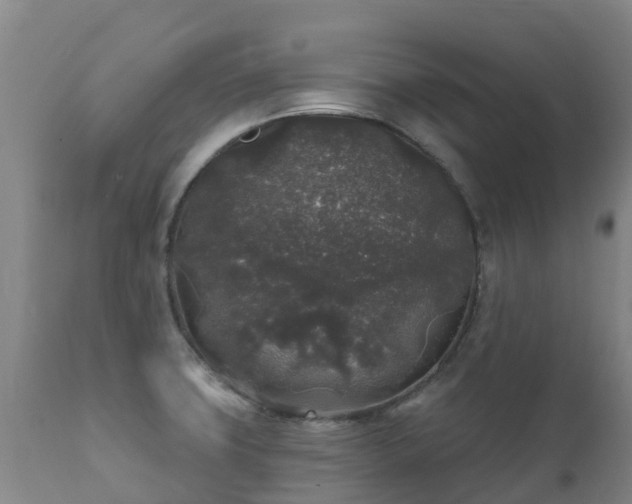 X0000112361427200908201453