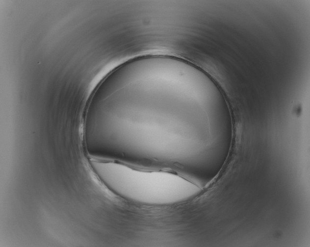 X0000112361428200908201453