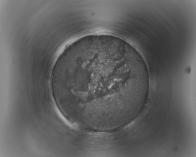 X0000112361429200908201453