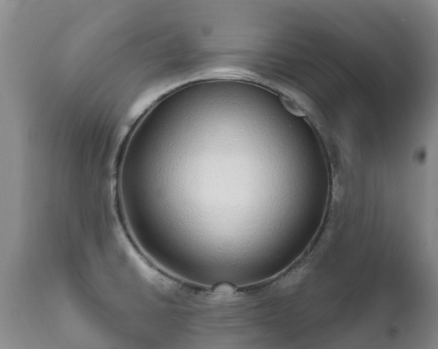 X0000112361430200908201453