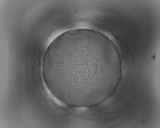 X0000112361431200908201453