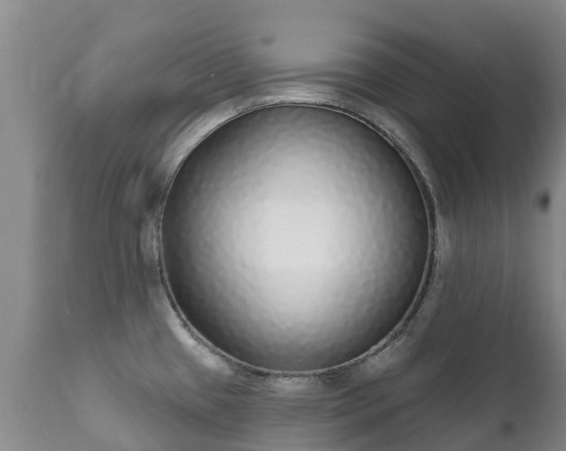 X0000112361433200908201453