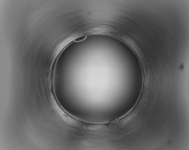 X0000112361434200908201453