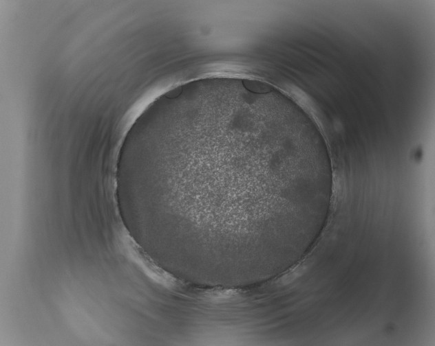 X0000112361435200908201453