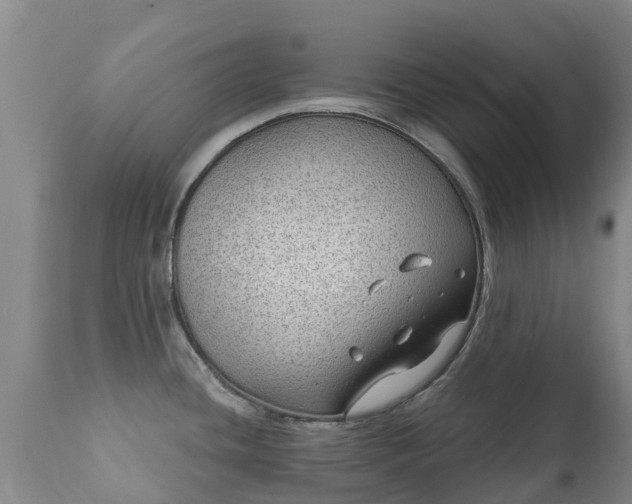 X0000112361436200908201453