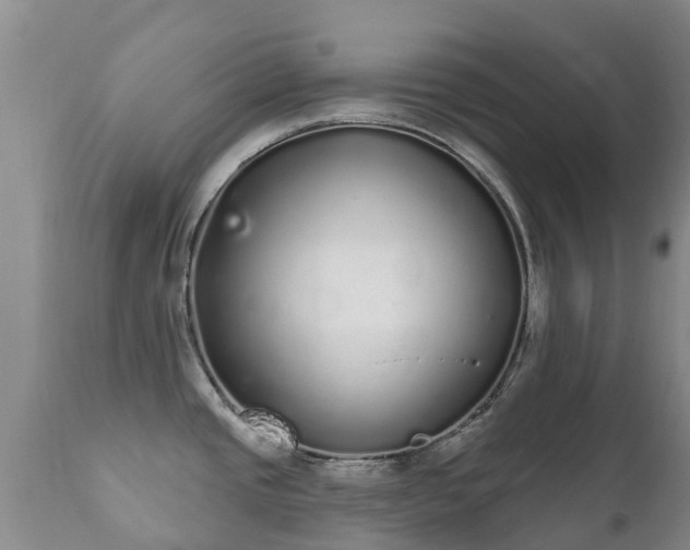 X0000112361437200908201453