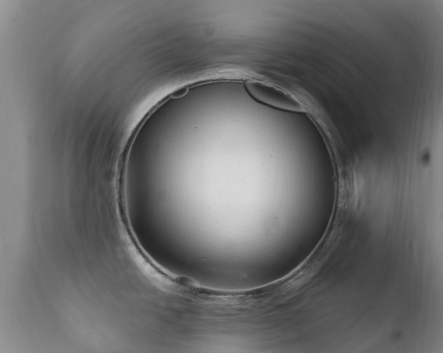 X0000112361438200908201453