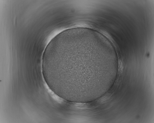 X0000112361439200908201453