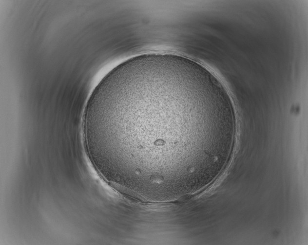 X0000112361440200908201453