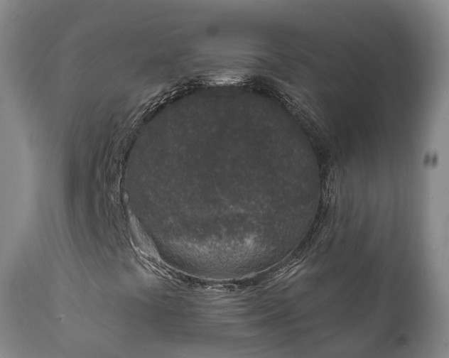 X0000112361441200908201452