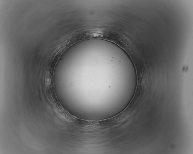X0000112361442200908201452
