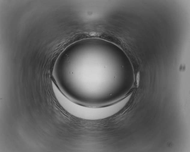 X0000112361443200908201452