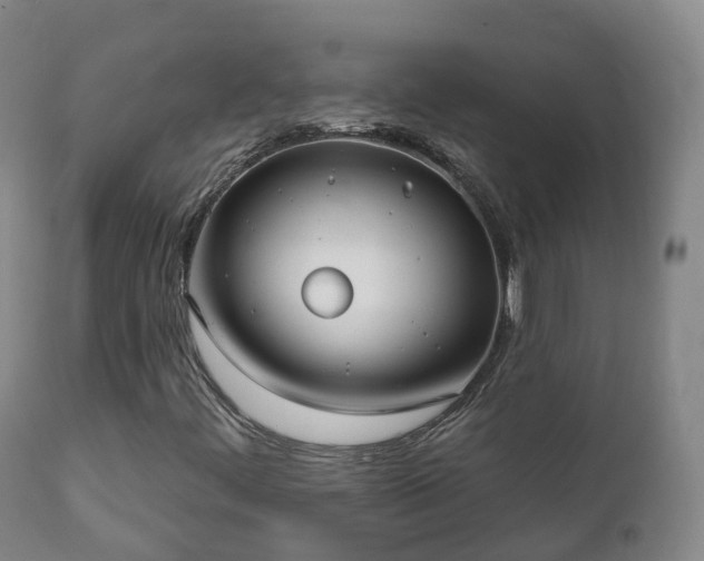 X0000112361444200908201452