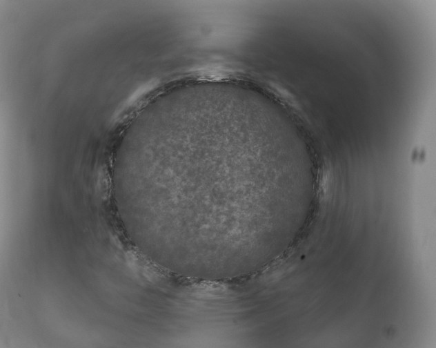 X0000112361446200908201452
