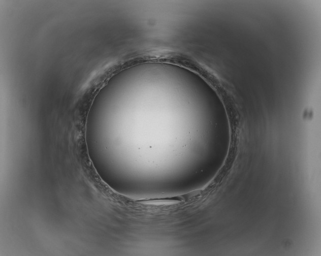 X0000112361447200908201452