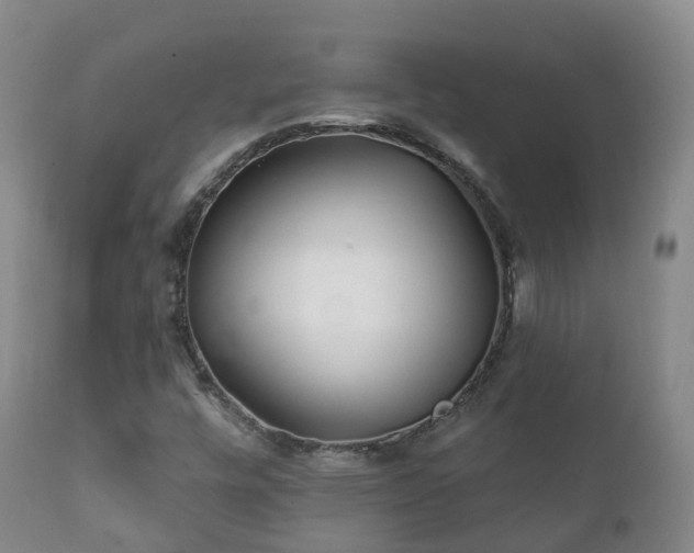 X0000112361448200908201452