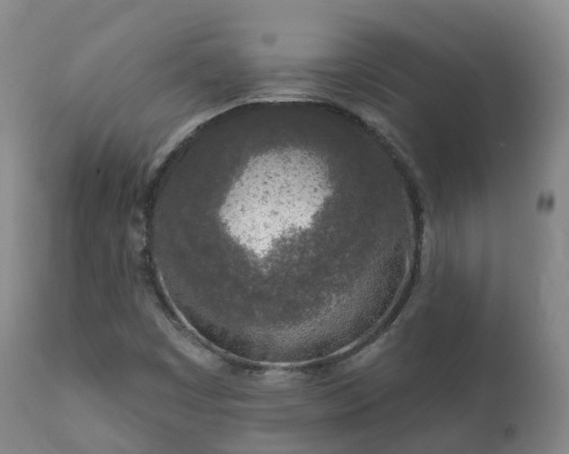 X0000112361449200908201452