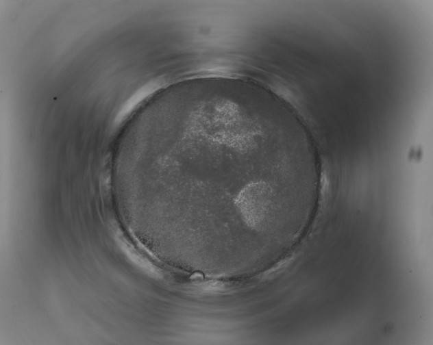 X0000112361450200908201452