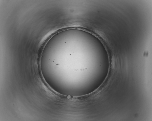 X0000112361452200908201452