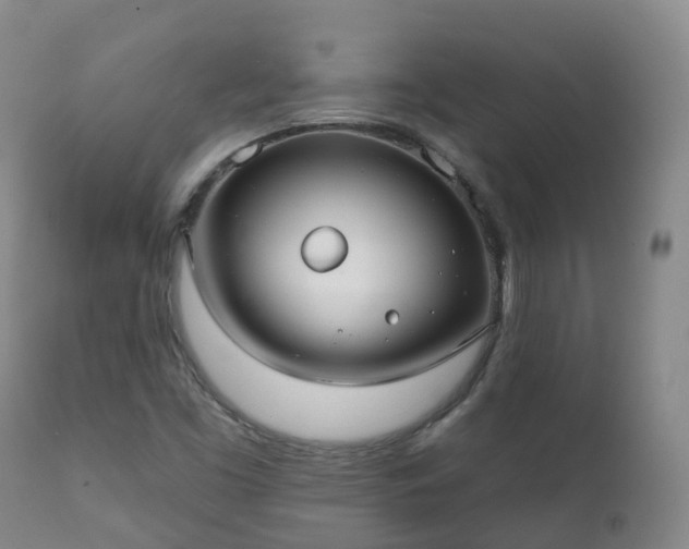 X0000112361453200908201452