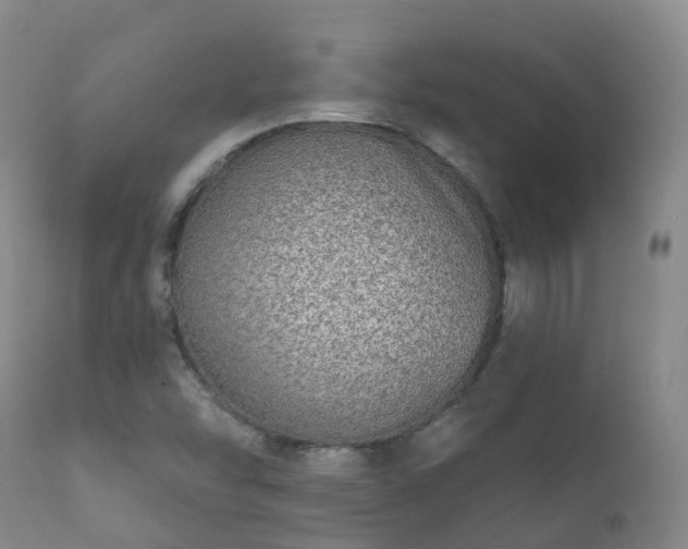 X0000112361454200908201452