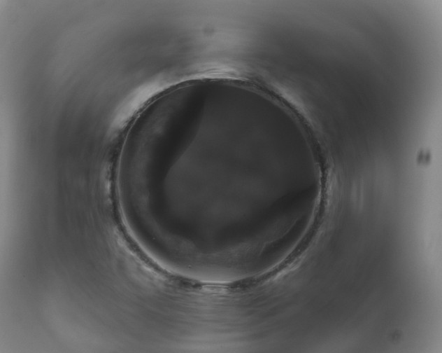 X0000112361455200908201452