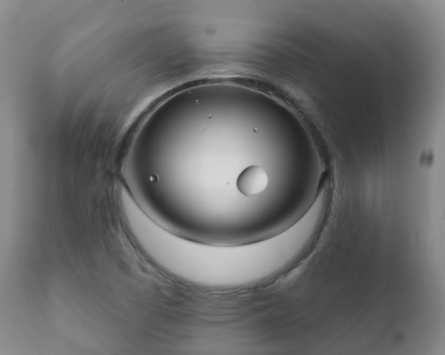 X0000112361457200908201452