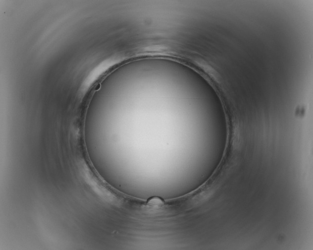 X0000112361458200908201452