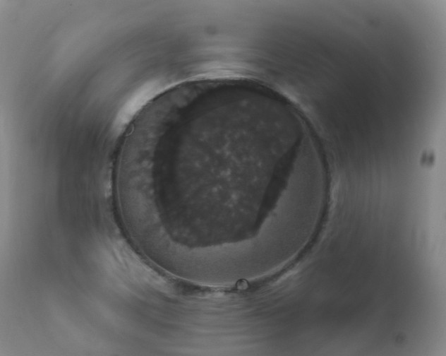 X0000112361459200908201452