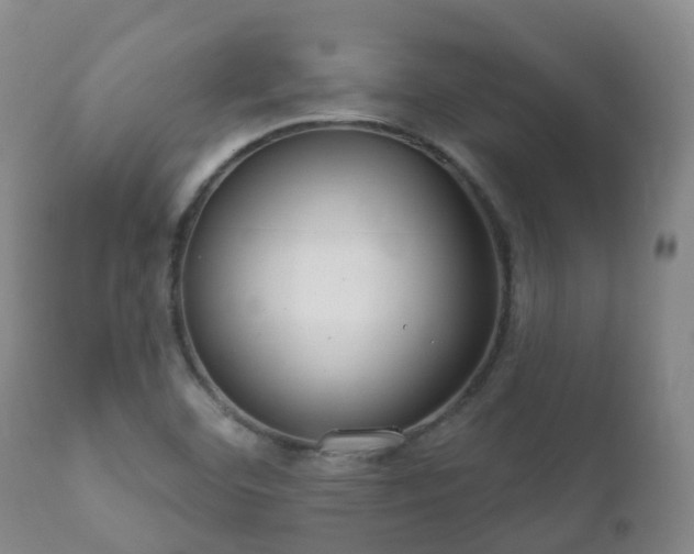 X0000112361460200908201452