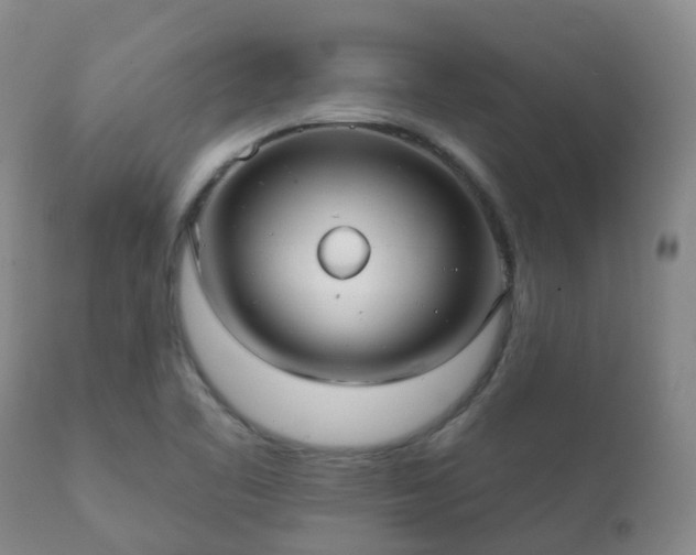 X0000112361461200908201452