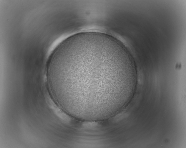 X0000112361462200908201452