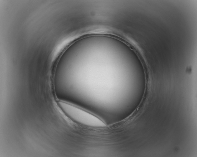 X0000112361464200908201452