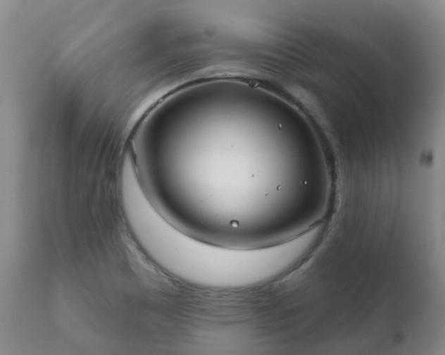 X0000112361465200908201452