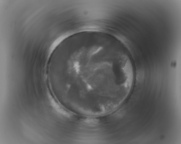 X0000112361466200908201452